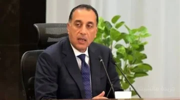 مدبولي يطلق خطة غير مسبوقة هكذا تستعد شبكة الكهرباء لصيف 2026 بدعم كامل للطاقة المتجددة 2